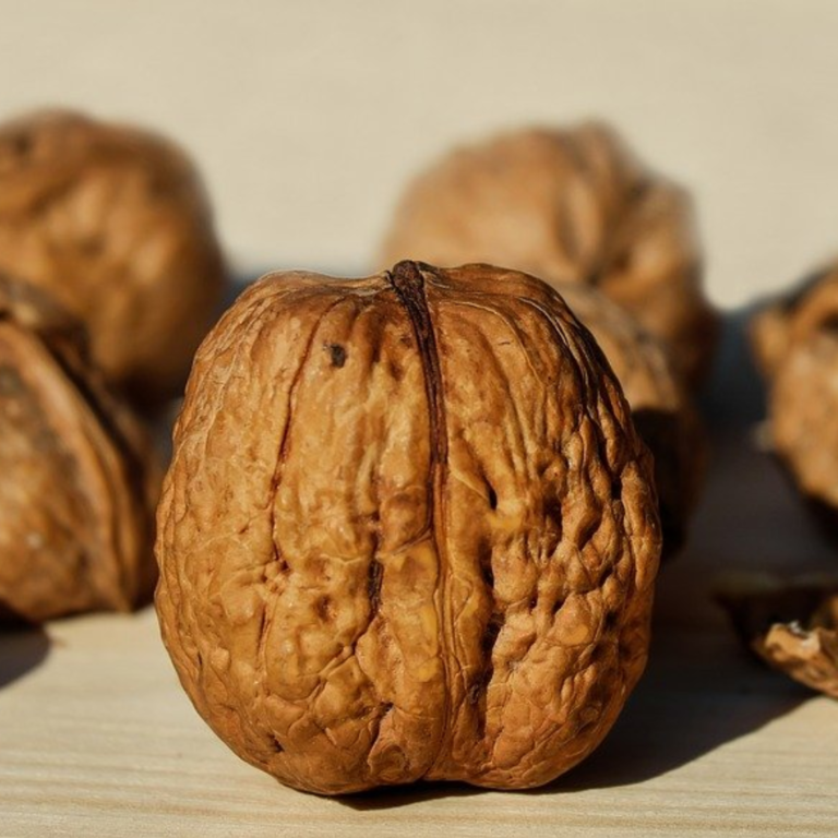 Верность и её производные