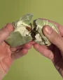 Купить Набор корпусных пирожных c доставкой от Coffee Embassy